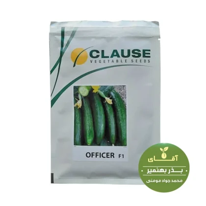 بذر خیار آفیسر (OFFICER F1) پاکت 2500 عددی